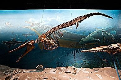 《明末：渊虚之羽》新宣传片：中国媒体好评如潮！